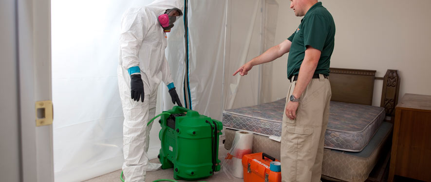 Lawrence, MA mold removal process